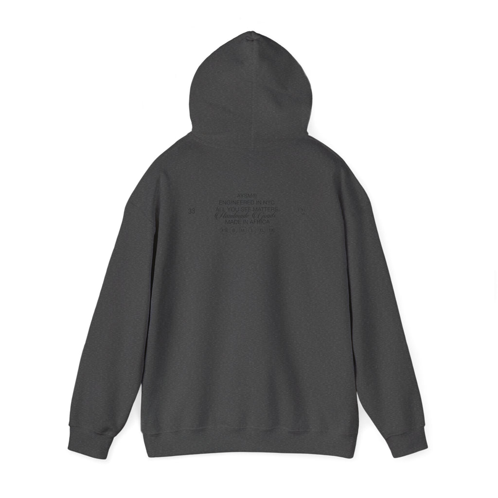 AYSM® BLACK 365 Hoodie